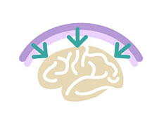 トレーニングで脳に定着させる脳のイメージイラスト